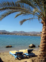 Sonnenliegen am Strand von Sharm El Sheikh (Foto: Eichner-Ramm)