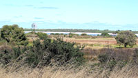 Lagunenlandschaft in der Peel-Region