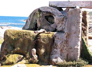 Versteinertes Wasserrad nahe des Cape Leeuwin