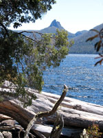 Der Overland Track führt am Lake St. Clair entlang