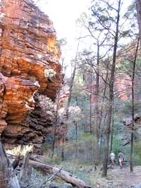 Wanderung in der Alligator Gorge im Mount Remarkable Nationalpark