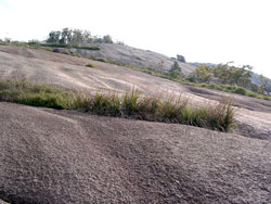 Bald Rock bei Tenterfield