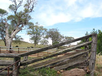 Viehverlade irgendwo am New England Highway