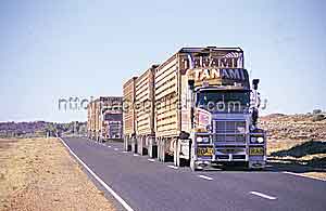 Begegnung mit Roadtrains: Auf dem Stuart Highway (Foto: NTTC/Steph Miechel)