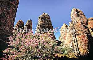 Wolkenkratzer aus Stein: Lost City in den Abner Ranges (Foto: NTTC/David Silva)