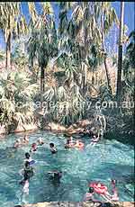 Mataranka Thermal Pool (Foto: NTTC/Berry Skipsey)