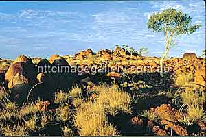 The Pebbles: Unbekannter als die Devil Marbles (Foto: NTTC)