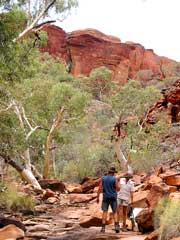 Durch das Bachbett des Kings Creek geht es in den Kings Canyon hinein