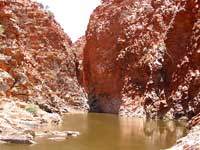 Wilde Schlucht im Westen: Redbank Gorge