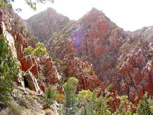 Urwüchsige Landschaft: Tief in der Standley Chasm