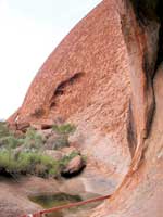 Wasserloch am Fuß des Uluru