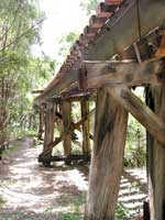 Ziel der Kurztour mit der Pemberton Tramway: Warren River Bridge