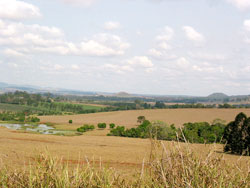 Landschaft in den Atherton Tablelands