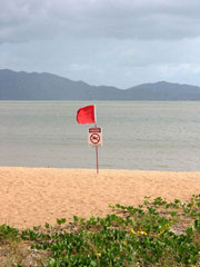 Baden verboten: Während der Jelly-Fish-Saison weht am Strand von Townsville die rote Fahne