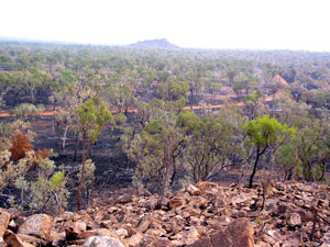 Rundblick in den verbrannten Undara Volcanic Nationalpark 