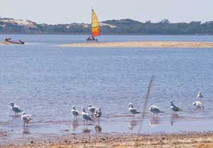 Leschenault Inlet nördlich von Bunbury (Foto: Tourism Western Australia)