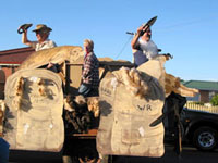 Christmas Parade in Wynyard