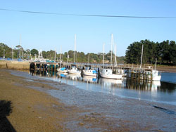 Ebbe im Hafen von Wynyard