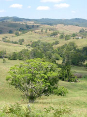 Landschaft in den Atherton Tablelands