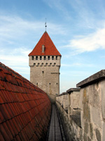 Mit 29 Metern ist der Lange Hermann der höchste Turm der Ordensburg (Foto: Eichner-Ramm)
