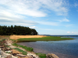 Küstenlandschaft (Foto: Eichner-Ramm)