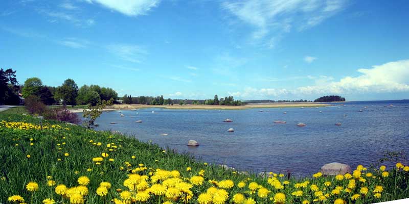 Bucht im Lahemaa-Nationalpark (Foto: Eichner-Ramm)