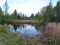 Natur pur: Somaa-Nationalpark zwischen Tartu und Pärnu