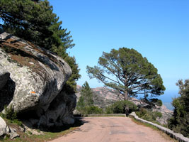 Enge und kurvige Straßen führen durch die Berge (Foto: Eichner-Ramm)