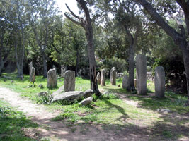 Beim Alignement de Renaggiu in einem Steieichenwäldchen handelt es sich vermutlich um einen megalithischen Friedhof (Foto: Eichner-Ramm)