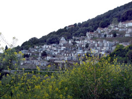 Der Friedhof von Olmeto zieht sich am Ortsrand einen Hang hinauf (Foto: Eichner-Ramm)