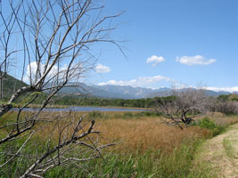 Lagune an der Punta D’Oru (Foto: Eichner-Ramm)