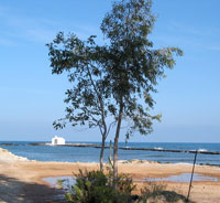 Kapelle Agios Nikolaos in Georgioupolis