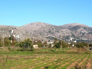 Lassithi-Hochebene: Nur noch vereinzelt tragen die Windmühlen ihre weißen Segel