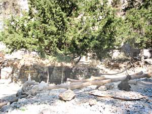 Picknickplatz mit kuriosem Kiosk in der Imbros-Schlucht