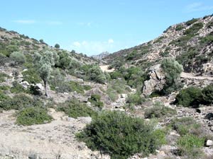 Landschaft in der Nähe der Agio Farango-Schlucht