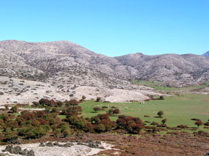 Blick auf die Nida-Hochebene