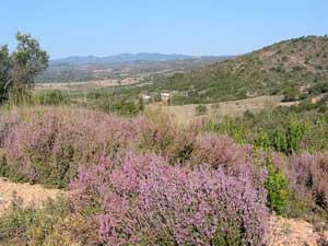 Reizvolle Landschaft im Hinterland der Chalkidiki-Halbinsel: hier bei Plana