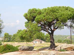 Landschaft bei Agios Pavlos