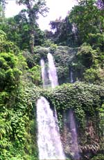 Wasserfall in dichtem Grün nahe Senaro