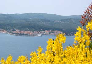 Blick auf die Insel Korcula