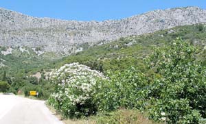 Landschaft bei Drvenik