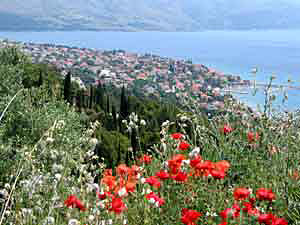 Blick auf den Ort Orebic auf der Halbinsel Peljesac