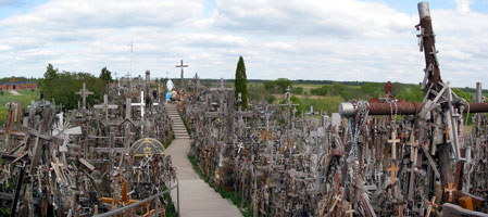 Kreuze soweit das Auge reicht (Foto: Eichner-Ramm)