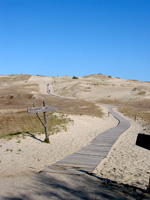 Holzbohlenweg im Nagliai-Reservat (Foto: Eichner-Ramm)