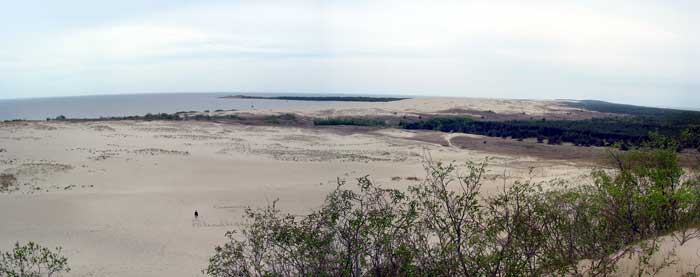 Blick über die Parnidis-Düne bei Nida (Foto: Eichner-Ramm)