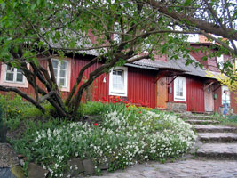 Blumengeschmückter Vorgarten (Foto: Eichner-Ramm)