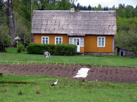 Gehöft mit Storch im Garten (Foto: Eichner-Ramm)