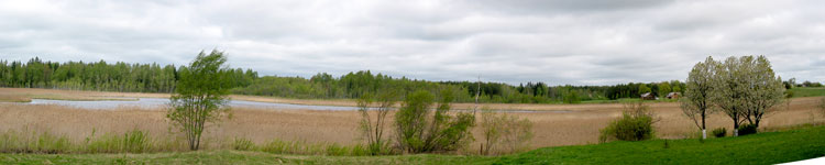 Landschaft im emaitija Nationalpark (Foto: Eichner-Ramm)