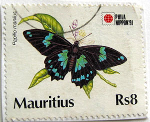 Nicht die »Blaue Mauritius«, aber dennoch ein hübsches Briefmarken-Motiv