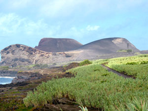 Küstenlandschaft zwischen Varadouro und Capelinhos (Foto: Eichner-Ramm)